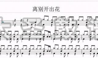 离别开出花歌曲完整版